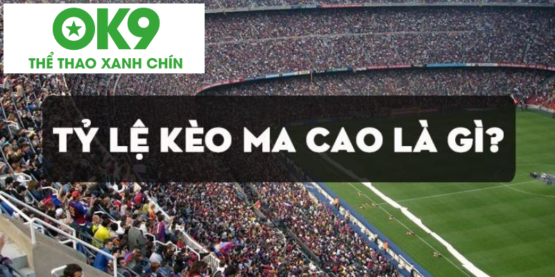 processed ty le keo macao tong quan